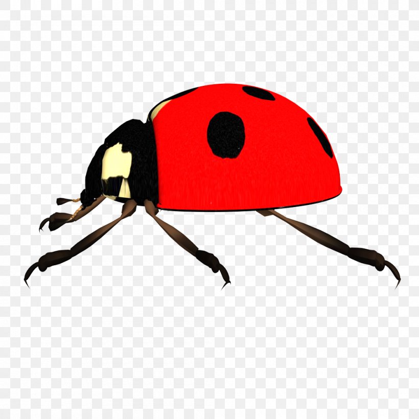 Ladybird Clip Art, PNG, 1000x1000px, Ladybird, Beetle, Display Resolution, Drawing, Insect Download Free