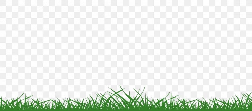 Lawn Environmental Policy Drawing, PNG, 1100x489px, Lawn, Agricultural Policy, Caricature, Document, Drawing Download Free