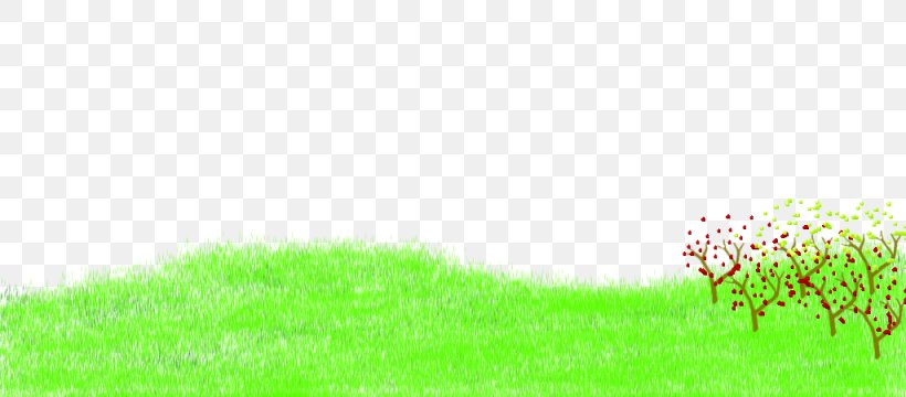 Lawn Vegetation Grassland Sunlight Desktop Wallpaper, PNG, 1025x450px, Lawn, Agriculture, Computer, Crop, Ecoregion Download Free
