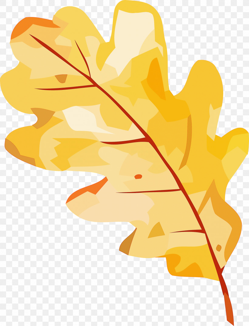 Leaf Plant Stem Flower Petal Tree, PNG, 2290x3000px, Leaf, Flower, Fruit, Line, Mathematics Download Free