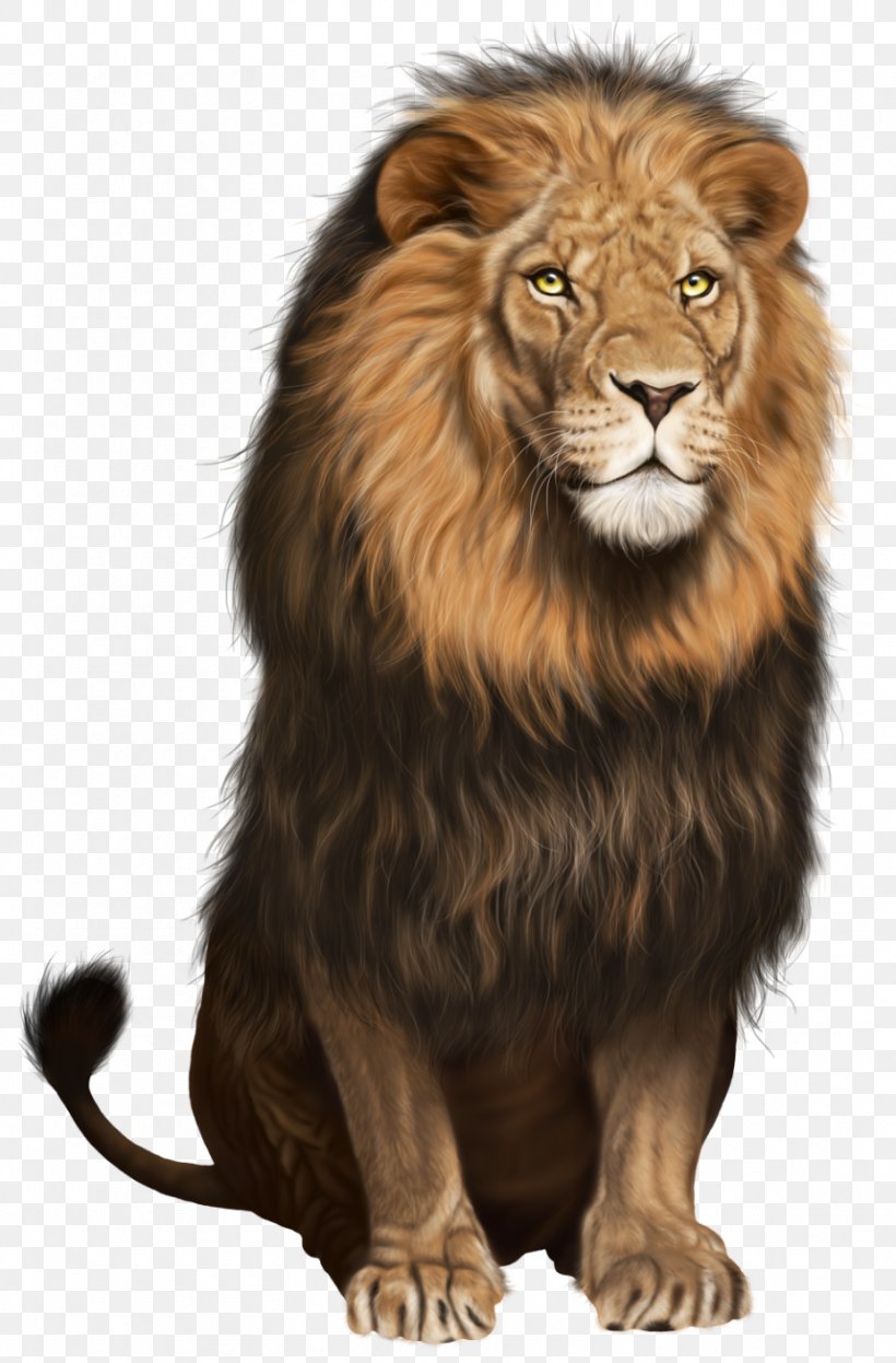 Lion Cat Clip Art, PNG, 859x1306px, Lionhead Rabbit, Animal, Big Cats, Carnivoran, Cat Download Free