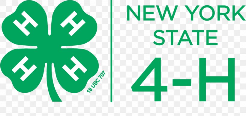 4-H Logo Great New York State Fair National Youth Summit On Healthy Living Emblem, PNG, 1102x523px, Logo, Area, Brand, Clover, Emblem Download Free