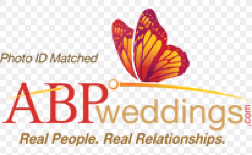 Abp News Marriage Wedding Abp Group Bride Png 1000x616px Abp