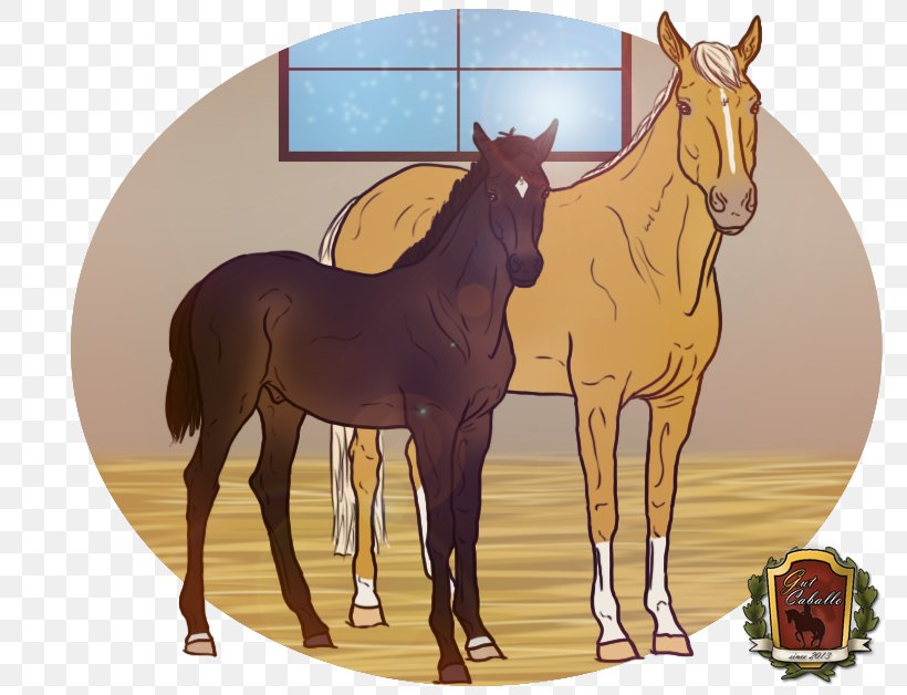 Foal Mustang Stallion Colt Mare, PNG, 813x628px, Foal, Bridle, Cartoon, Colt, Halter Download Free
