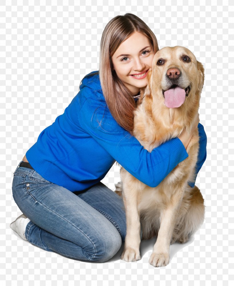 Golden Retriever Puppy Dog Breed Companion Dog, PNG, 1248x1522px, Golden Retriever, Breed, Carnivoran, Companion Dog, Dog Download Free