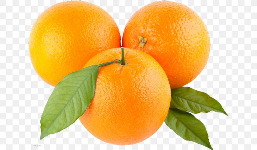 Orange Clip Art, PNG, 640x479px, Orange, Bitter Orange, Citric Acid, Citrus, Clementine Download Free