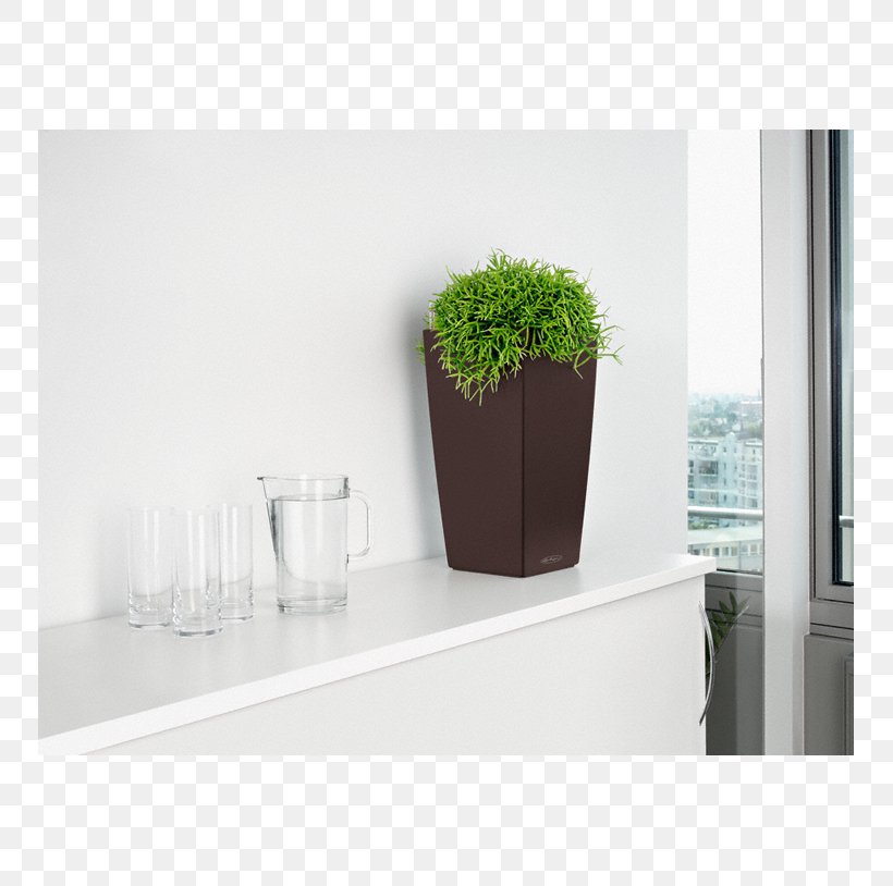 Vase Glass Herb Houseplant Flowerpot, PNG, 813x814px, Vase, Flowerpot, Furniture, Glass, Herb Download Free