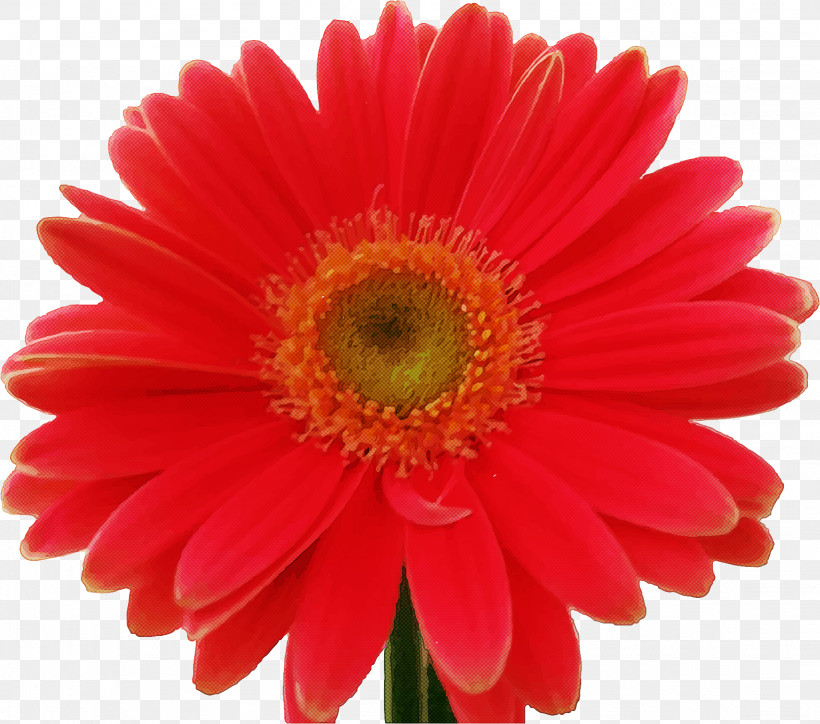 Artificial Flower, PNG, 1638x1447px, Flower, Annual Plant, Artificial Flower, Aster, Asterales Download Free