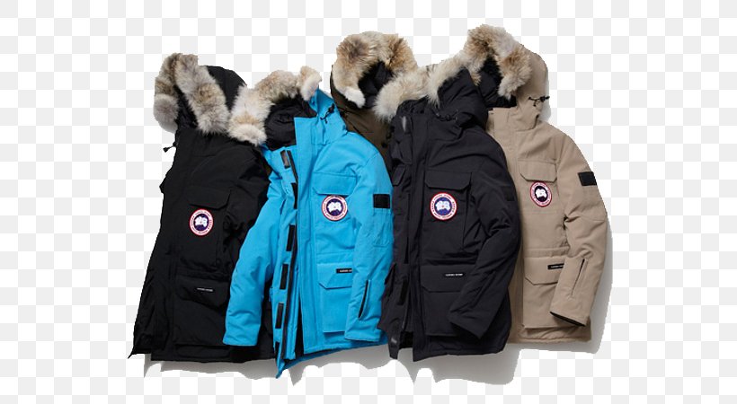 Canada Goose Down Feather Jacket Coat Parka, PNG, 570x450px, Canada Goose, Clothing, Coat, Daunenjacke, Down Feather Download Free