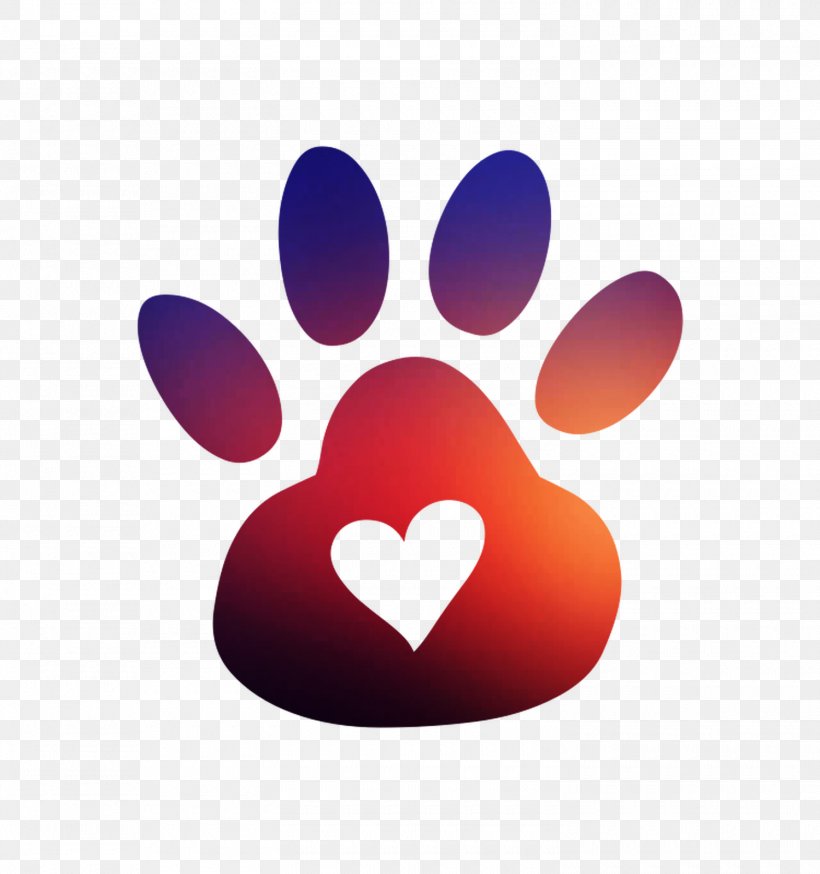 Dachshund Pet Scottish Terrier Cat Puppy, PNG, 1500x1600px, Dachshund, Cat, Cat Tree, Collar, Dog Download Free