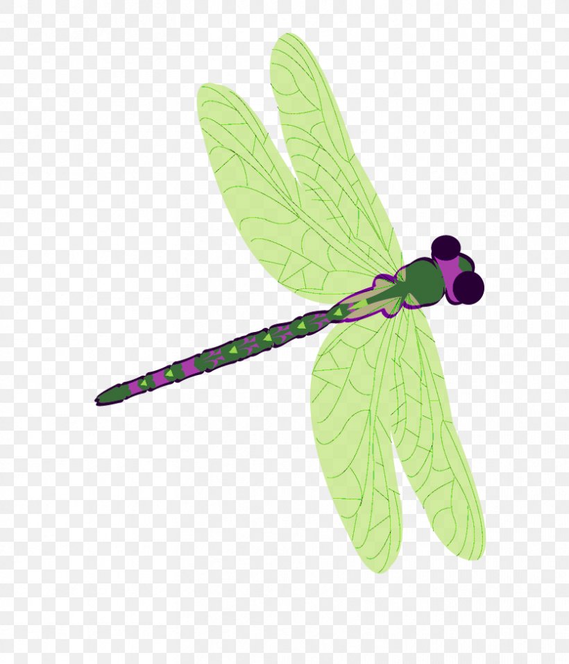 Dragonfly, PNG, 833x972px, Dragonfly, Dragonflies And Damseflies, Insect, Invertebrate, Leaf Download Free