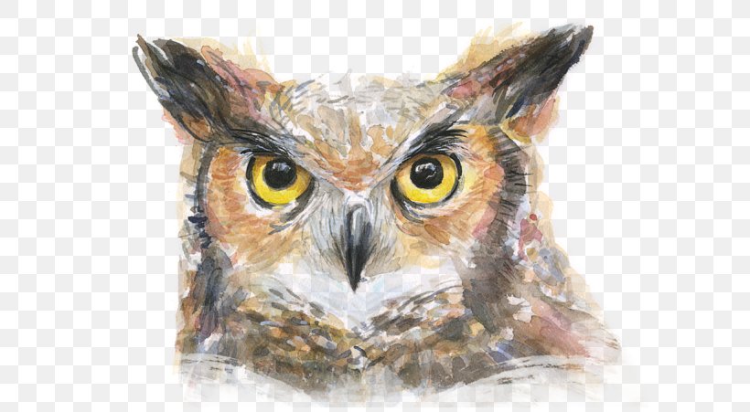 Great Horned Owl Watercolor Painting Canvas Print, PNG, 600x451px, Owl, Art, Artist, Beak, Bird Download Free