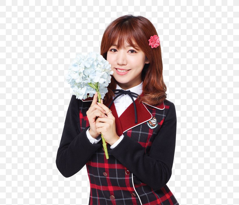 Kim Nam-joo Apink South Korea K-pop Plan A Entertainment, PNG, 559x703px, Watercolor, Cartoon, Flower, Frame, Heart Download Free