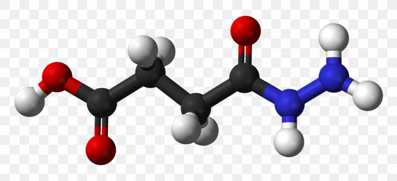 Molecule Malic Acid Chemical Formula Carboxylic Acid Organic Acid, PNG, 1250x572px, Molecule, Acid, Bowling Equipment, Bowling Pin, Carboxylic Acid Download Free