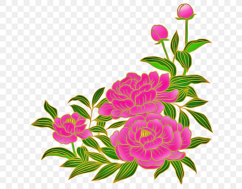 Flower Pink Plant Flowering Plant Petal, PNG, 640x640px, Flower, Chinese Peony, Common Peony, Cut Flowers, Flowering Plant Download Free
