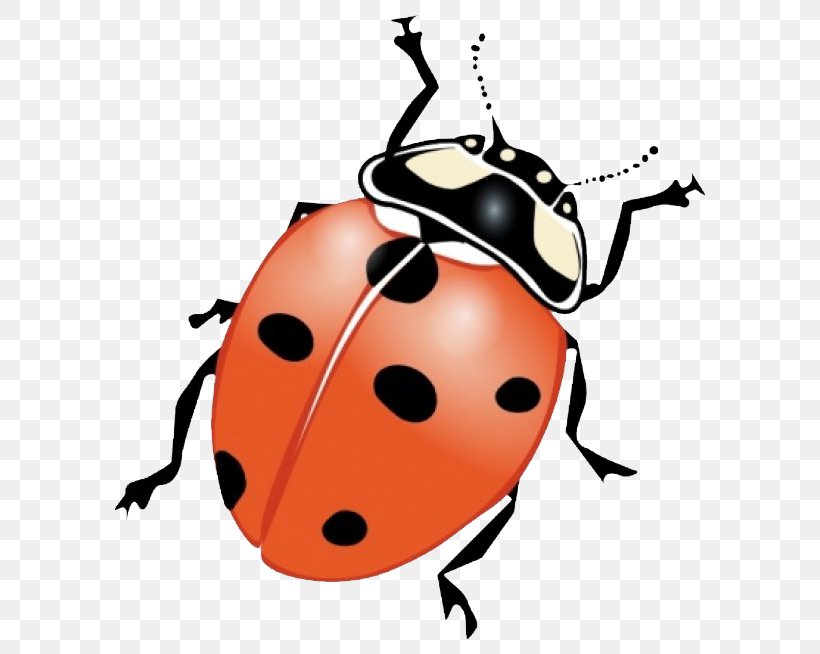 Ladybird Beetle Drawing Clip Art, PNG, 620x654px, Ladybird Beetle, Artwork, Beetle, Document, Drawing Download Free