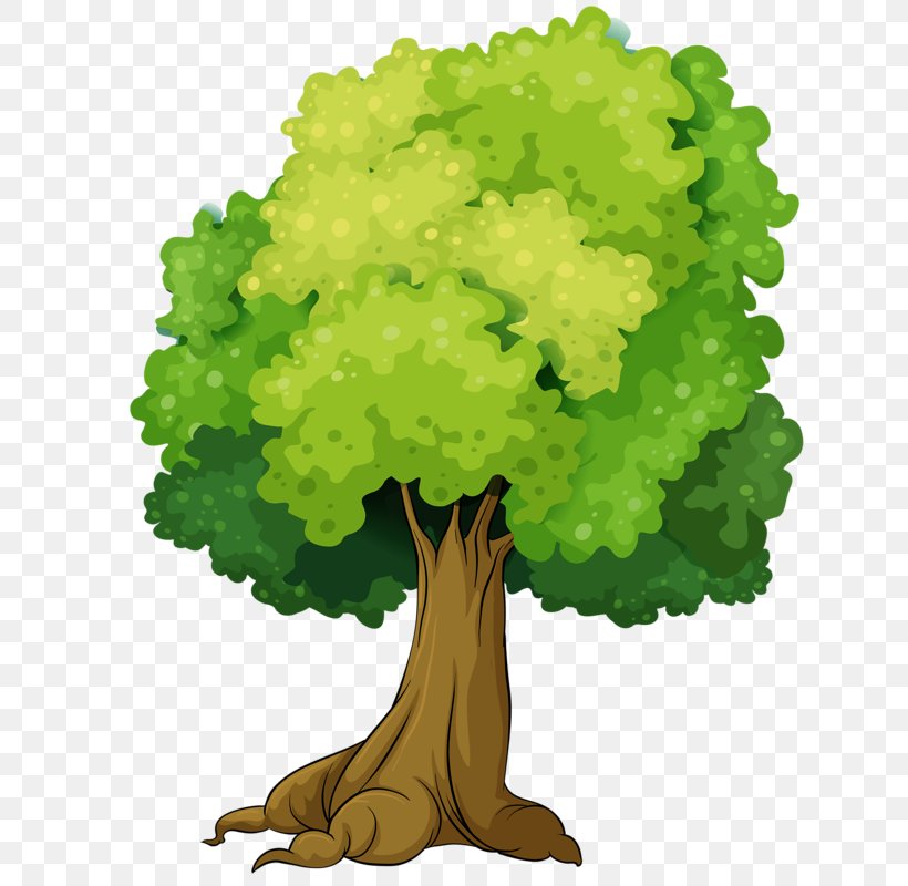Tree Clip Art, PNG, 632x800px, Tree, Drawing, Grass, Green, Illustrator Download Free