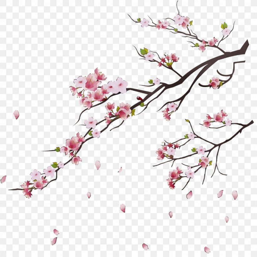 Cherry Blossom, PNG, 1024x1024px, Watercolor, Blossom, Branch, Cherry Blossom, Flower Download Free