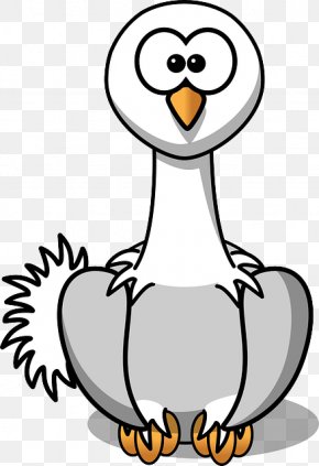 Animal Faces - Common Ostrich Bird Clip Art PNG