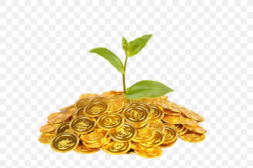 Gold Coin Plant Finance, PNG, 1024x683px, Gold Coin, Coin, Finance, Flower, Gold Download Free