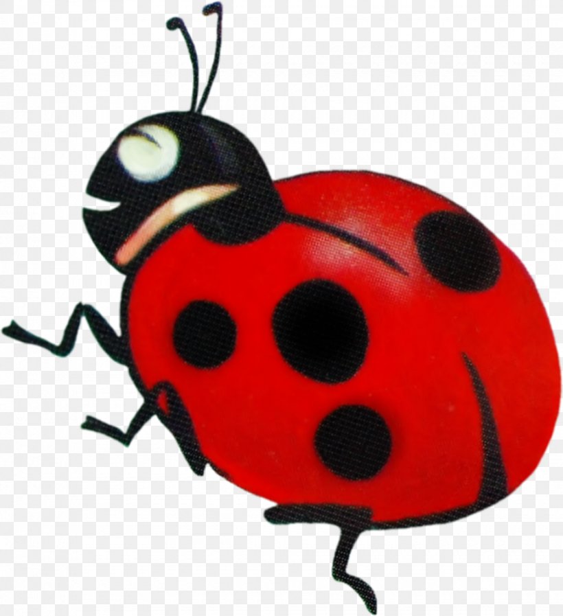 Ladybird Beetle La Mariquita Clip Art, PNG, 920x1007px, Ladybird Beetle, Animal, Arthropod, Beetle, Drawing Download Free