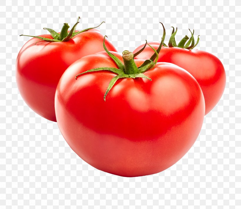Plum Tomato Tomato Juice Cherry Tomato Pizza Salsa, PNG, 4039x3509px, Plum Tomato, Beefsteak Tomato, Bush Tomato, Cherry Tomato, Diet Food Download Free
