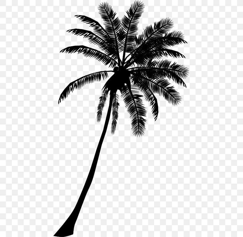 Arecaceae Drawing Tree Coconut Clip Art, PNG, 460x800px, Arecaceae, Arecales, Art, Asian Palmyra Palm, Black And White Download Free
