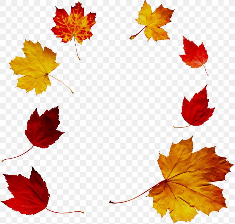 Autumn Maple Leaf Short Story Voicelessness, PNG, 3553x3393px, Autumn, Bilabial Nasal, Black Maple, Consonant, Deciduous Download Free