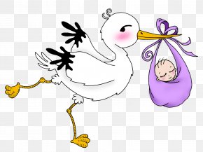 Baby Shower - Drawing Clip Art PNG
