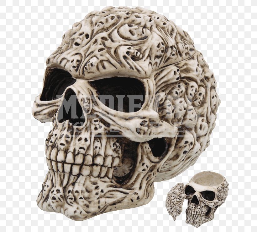 Calavera Human Skull Symbolism Skeleton Skull Art, PNG, 738x738px, Watercolor, Cartoon, Flower, Frame, Heart Download Free