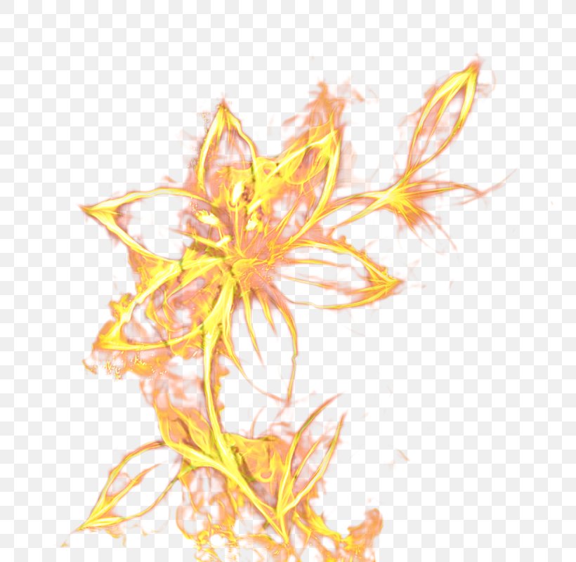 Flower Stem, PNG, 800x800px, Yellow, Flower, Plant, Plant Stem, Plants Download Free
