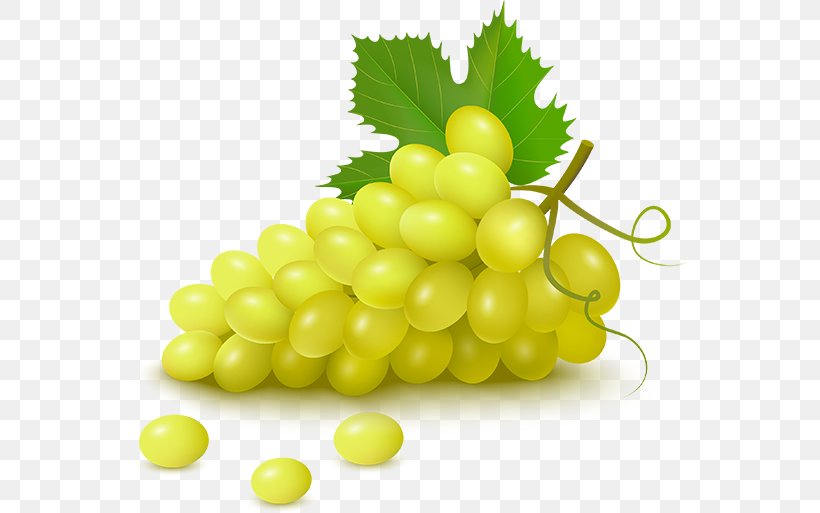Grape Fruit, PNG, 555x513px, Grape, Berry, Drawing, Food, Fruit Download Free