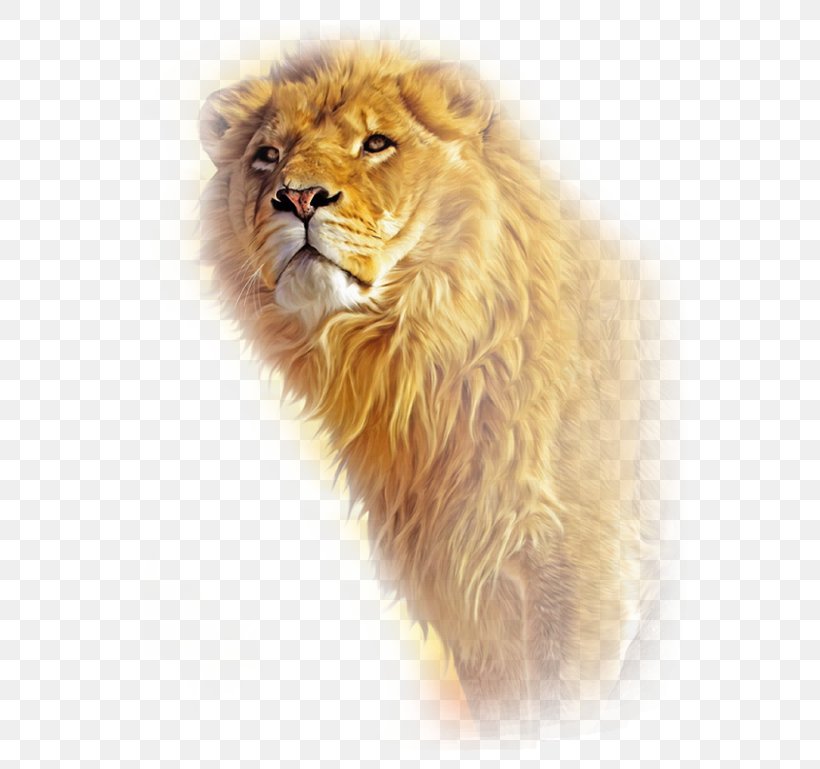 Mac OS X Lion MacBook Desktop Wallpaper, PNG, 600x769px, Lion, Apple, Big Cats, Carnivoran, Cat Like Mammal Download Free