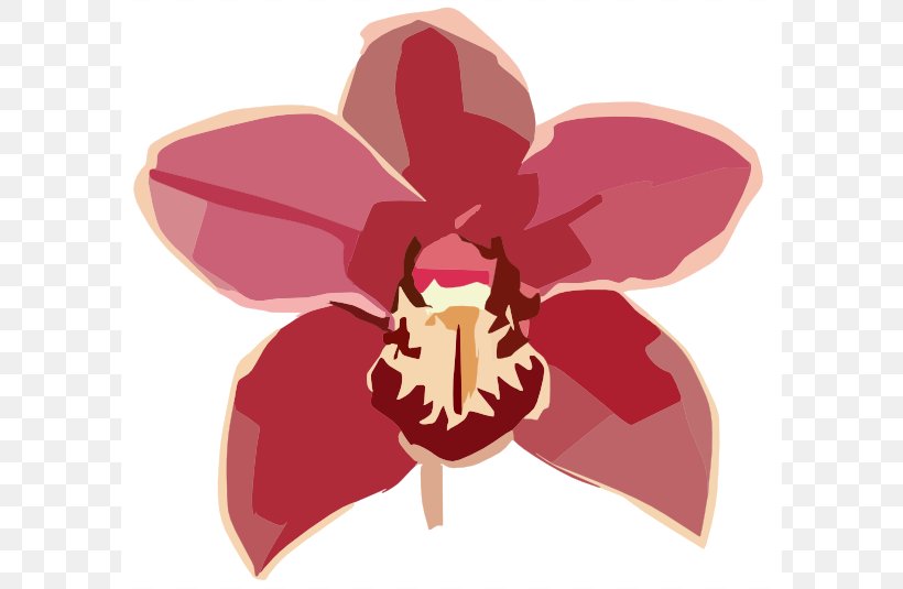 Orchids Free Content Flower Clip Art, PNG, 600x535px, Orchids, Blog, Drawing, Flora, Flower Download Free
