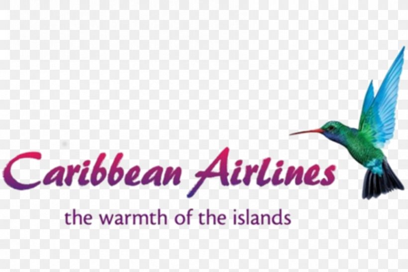 Piarco International Airport Cheddi Jagan International Airport Caribbean Airlines Lynden Pindling International Airport Flight, PNG, 845x563px, Piarco International Airport, Advertising, Air Jamaica, Airline, Beak Download Free