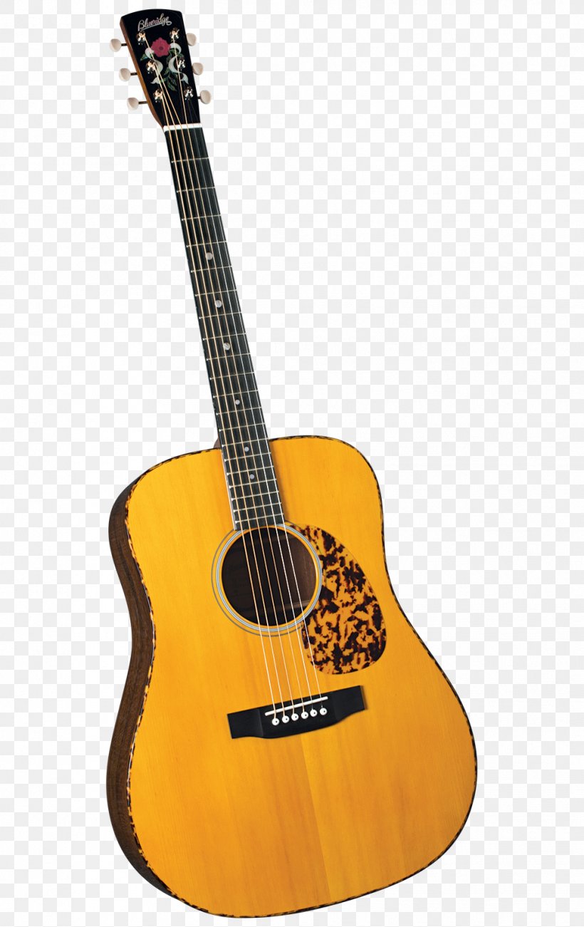 Acoustic Guitar Bass Guitar Acoustic-electric Guitar Tiple Washburn Guitars, PNG, 1008x1600px, Watercolor, Cartoon, Flower, Frame, Heart Download Free