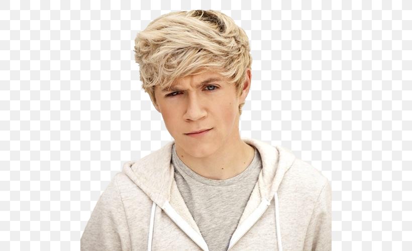 Niall Horan Mullingar The X Factor One Direction, PNG, 500x500px, Watercolor, Cartoon, Flower, Frame, Heart Download Free