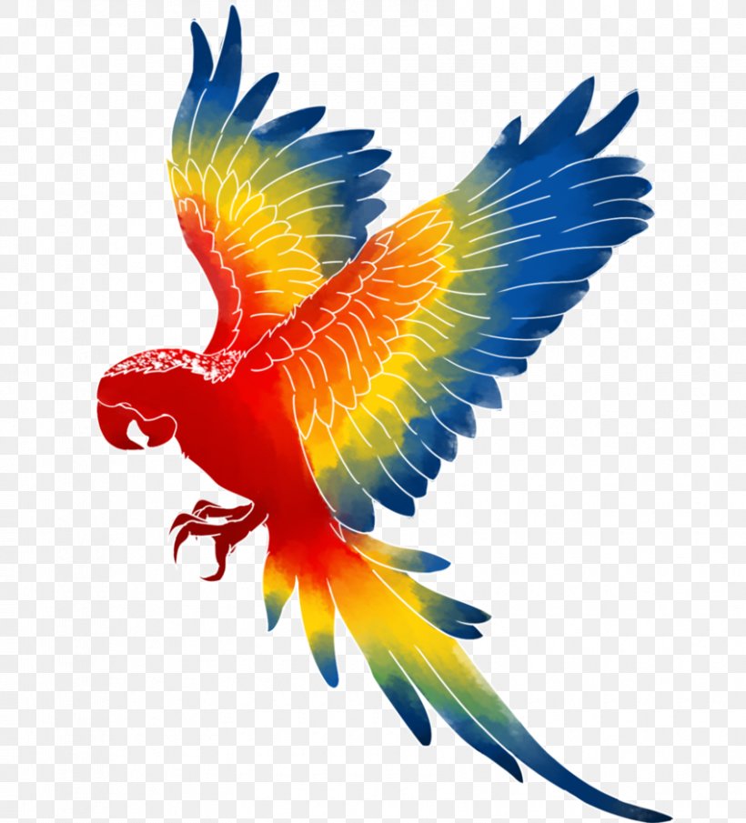 Parrot Bird Macaw Clip Art, PNG, 850x939px, Parrot, Beak, Bird, Cartoon, Common Pet Parakeet Download Free