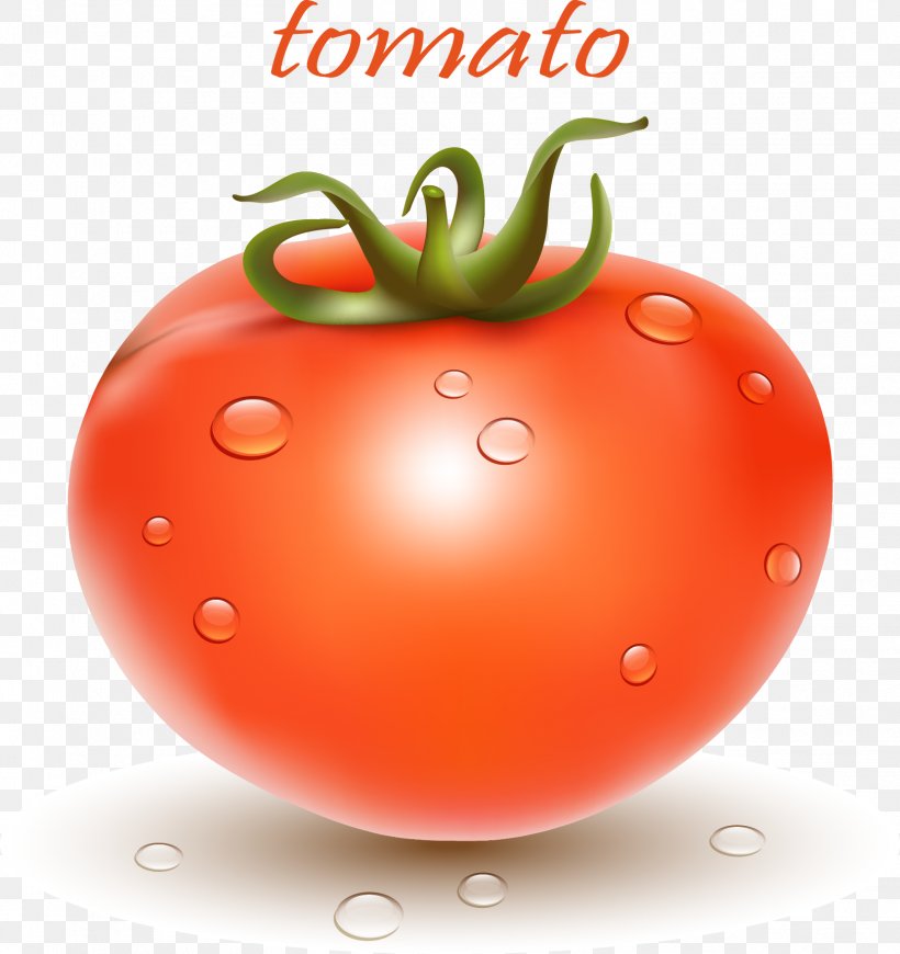 Plum Tomato Bush Tomato Cherry Tomato Vegetable, PNG, 1619x1718px, Plum Tomato, Bush Tomato, Cherry Tomato, Diet Food, Food Download Free