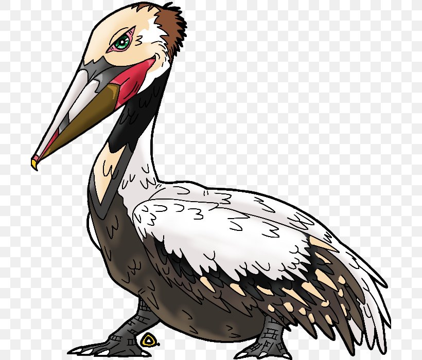 Beak Chicken Goose Cygnini Clip Art, PNG, 700x700px, Beak, Anatidae, Artwork, Bird, Cartoon Download Free