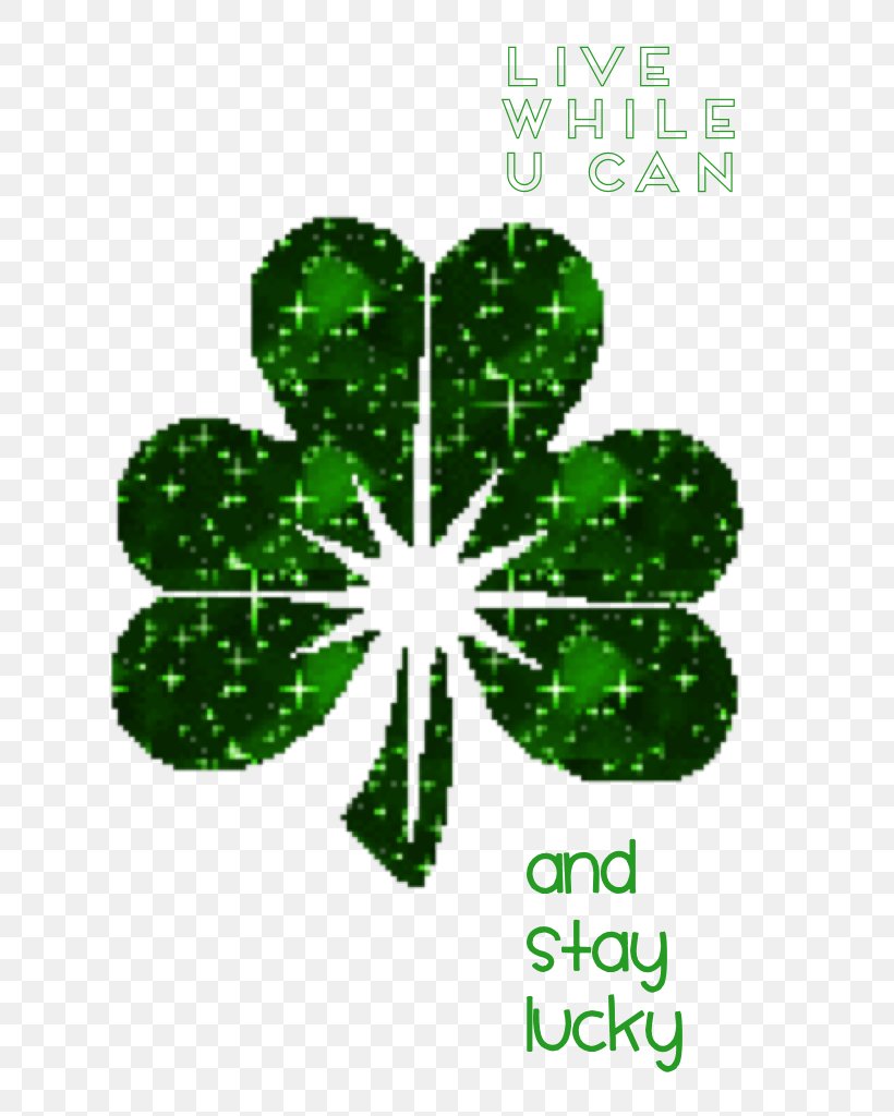 Saint Patrick's Day Shamrock Ireland Irish People, PNG, 768x1024px, Shamrock, Clover, Flowering Plant, Fourleaf Clover, Grass Download Free