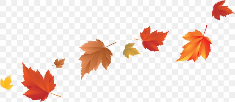 Autumn Leaf Color Clip Art, PNG, 1280x555px, Autumn Leaf Color, Autumn, Color, Flowering Plant, Leaf Download Free