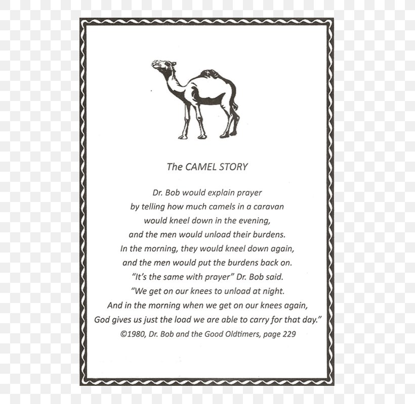 Camel Dr. Bob's Home Mammal Picture Frames Font, PNG, 800x800px, Camel, Area, Black And White, God, Joint Download Free