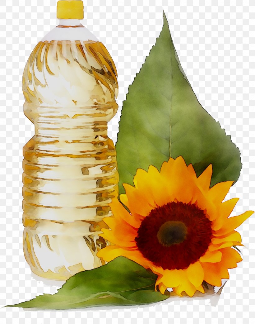 Common Sunflower Sunflower Oil Vegetable Oil Sunflower Seed, PNG, 1214x1540px, Common Sunflower, Bean, Bottle, Chemical Substance, Cooking Oil Download Free
