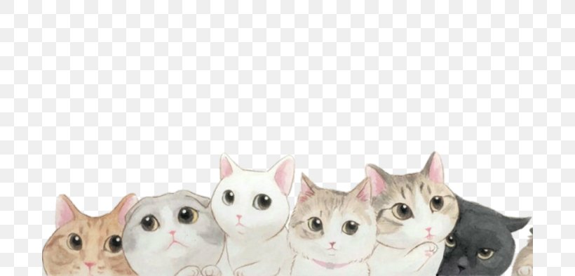 Kitten Cat Desktop Wallpaper, PNG, 700x393px, Kitten, Building, Carnivoran, Cat, Cat Like Mammal Download Free