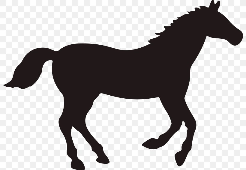 Rocky Mountain Horse Vector Graphics Clip Art Black, PNG, 800x567px, Rocky Mountain Horse, Black, Black And White, Bridle, Colt Download Free