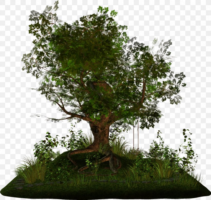 Tree Arecaceae Branch Bonsai, PNG, 1179x1121px, Tree, Arecaceae, Autumn, Bonsai, Branch Download Free