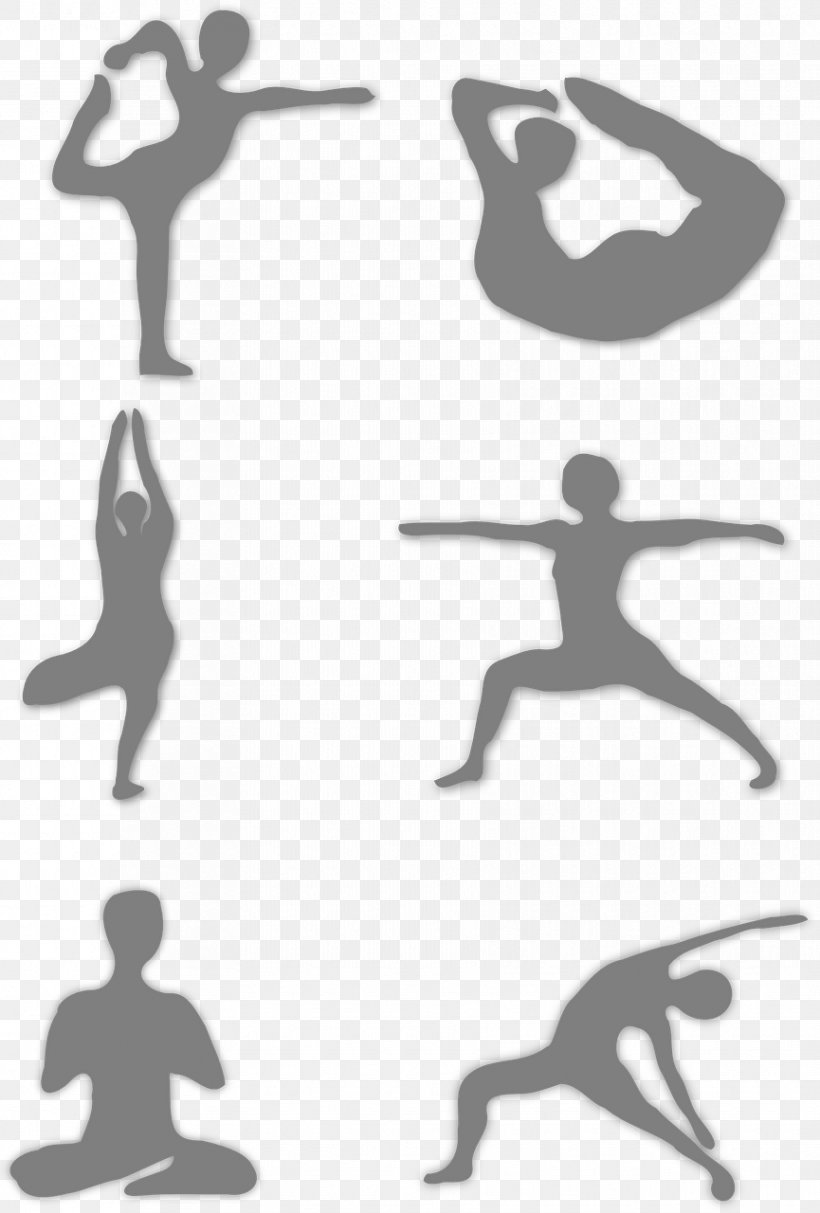 Aerial Yoga Vector Graphics Exercise Stretching, PNG, 865x1280px, Yoga, Aerial Yoga, Exercise, Meditation, Physical Fitness Download Free