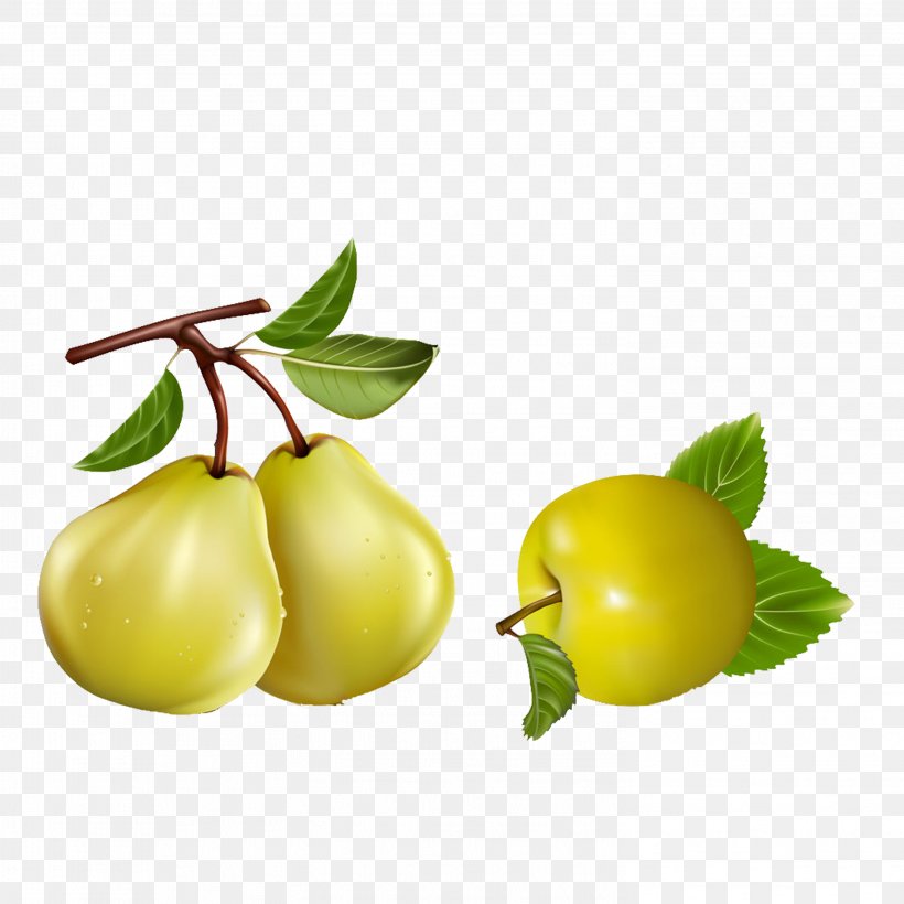 Asian Pear Pyrus Nivalis Apple Fruit, PNG, 2953x2953px, Asian Pear, Apple, Auglis, Banana, Citrus Download Free