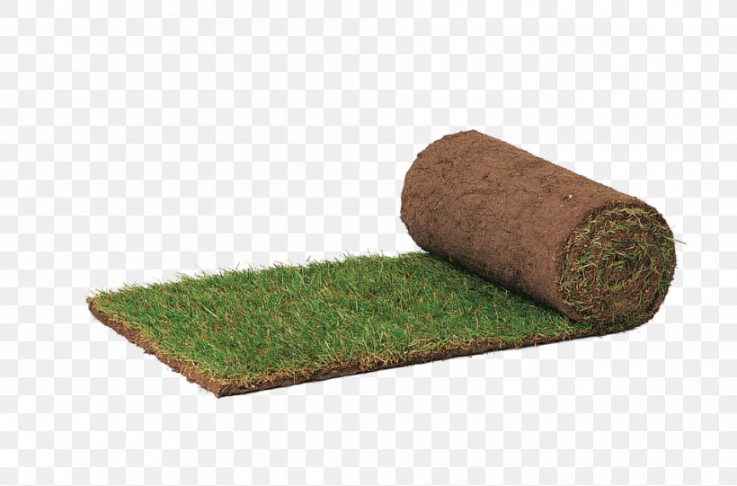 Lawn Murawa Grass /m/083vt Summer, PNG, 950x627px, Lawn, Autumn, Carpet, Grass, Green Download Free